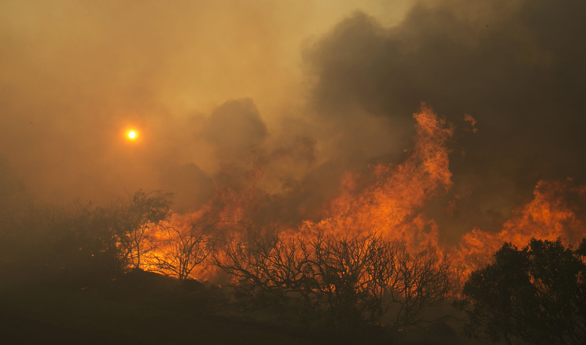California Wildfires